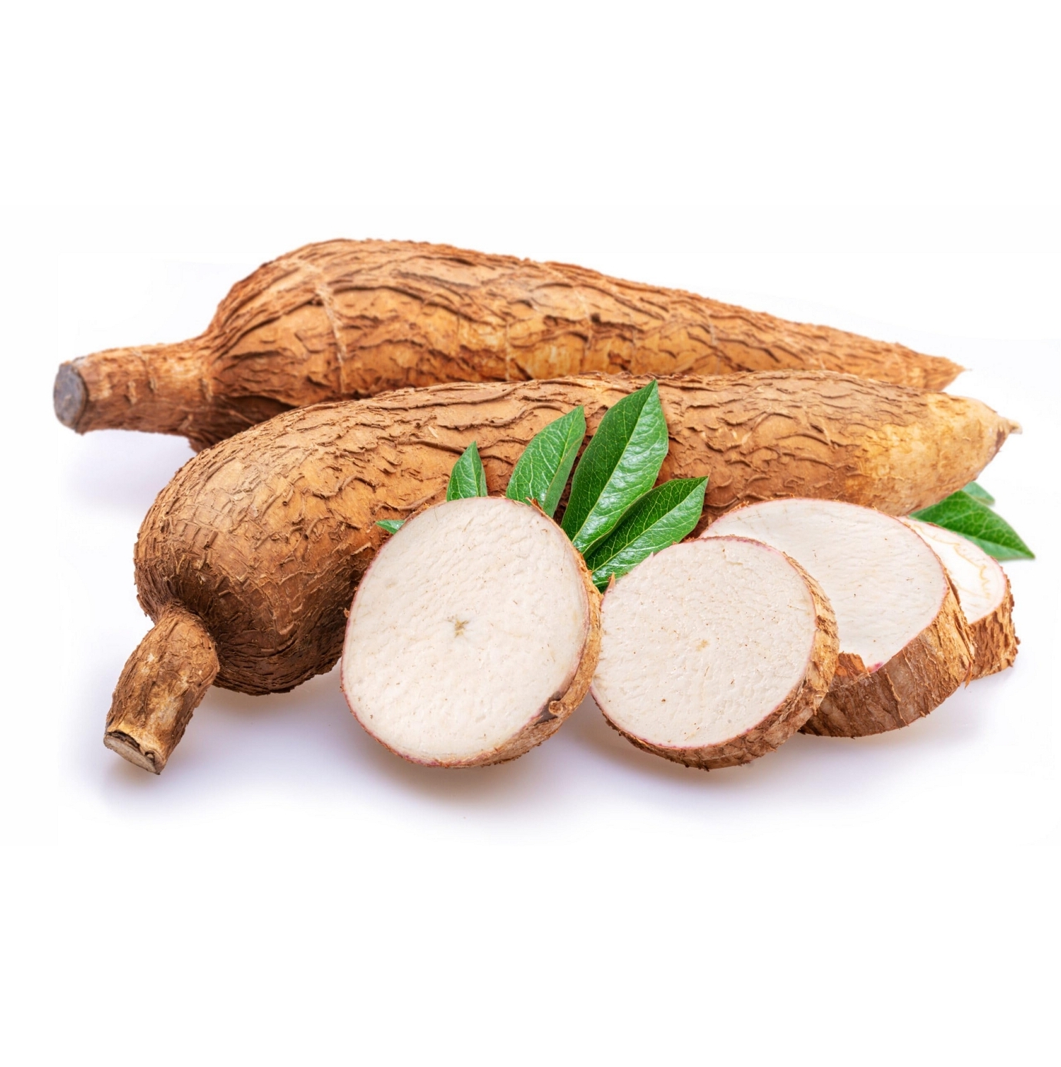Fresh Organic Cassava - Image 2