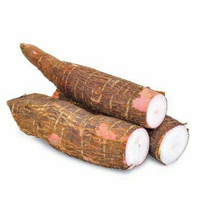 Fresh Organic Cassava - Image 3
