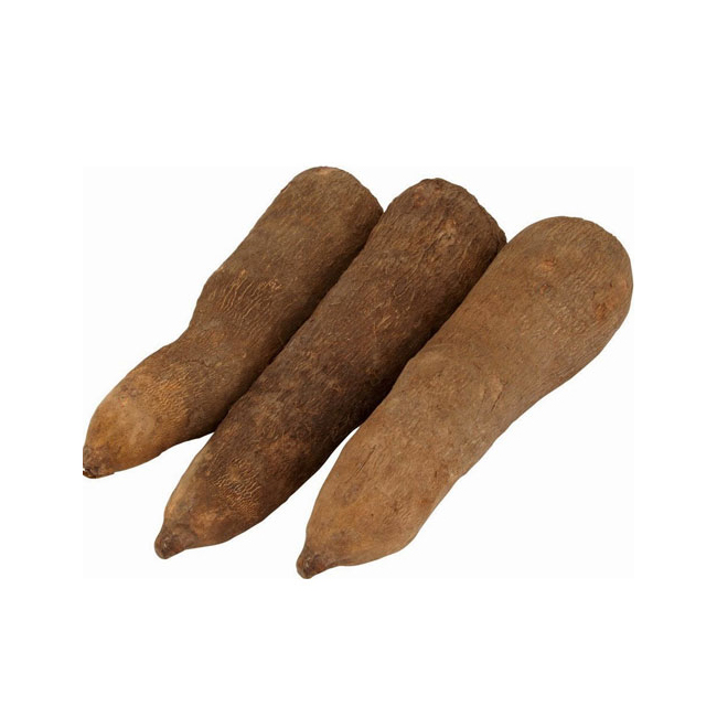 White and Yellow Yam - Image 4