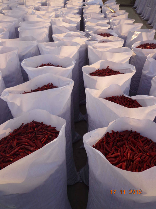 Dried Red Chili Peppers - Image 2