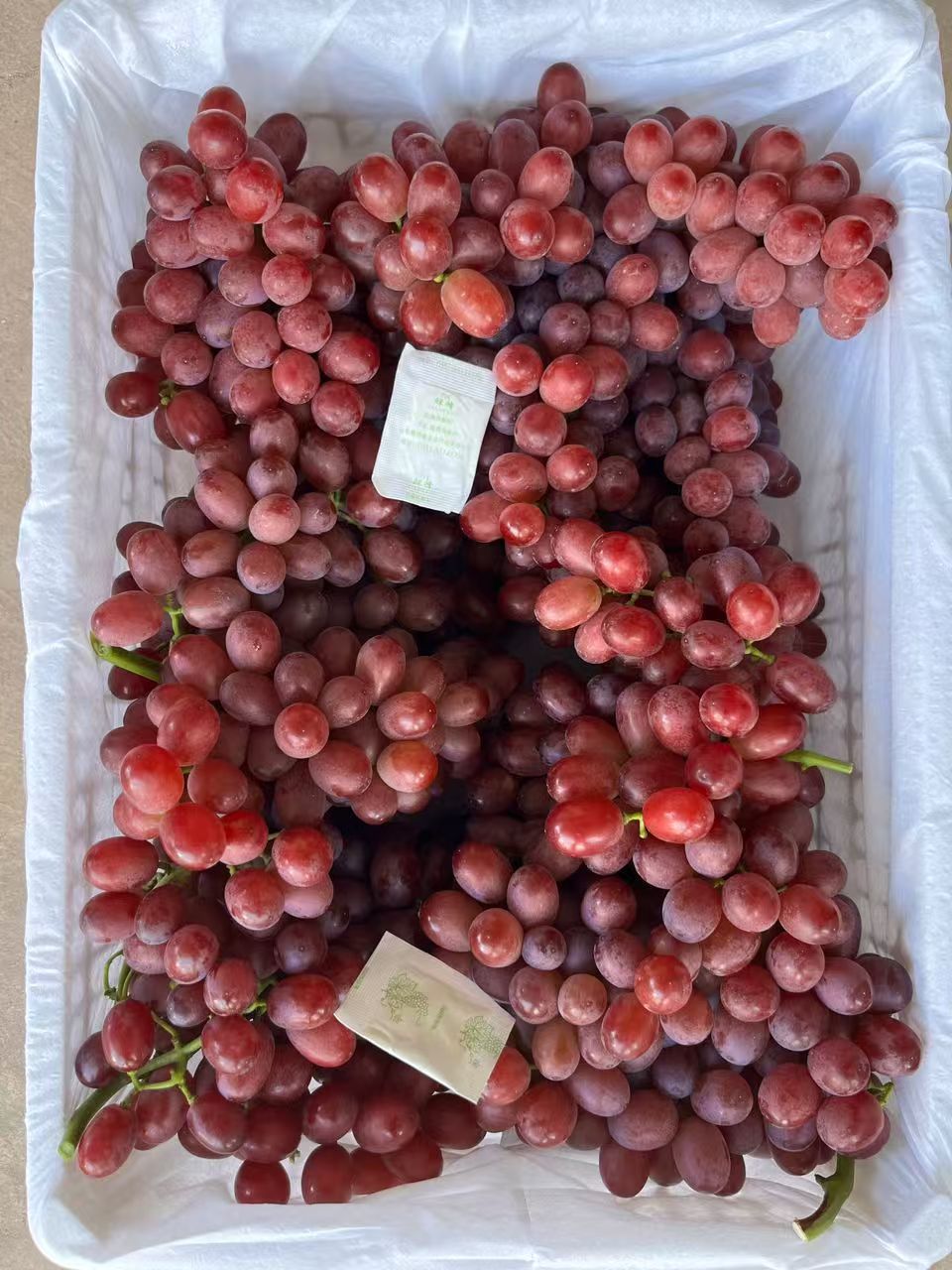  Fresh Black and Red Grape Fruit  - Image 2