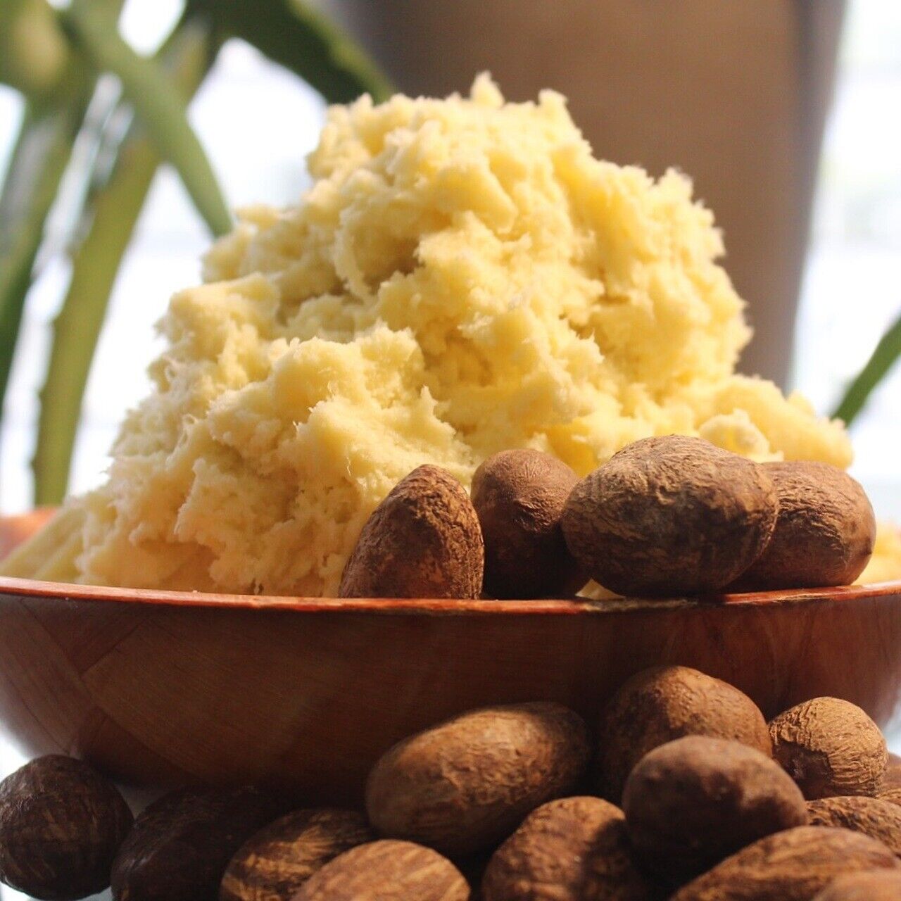 Raw Organic Unrefined Shea Butter High Quality Bulk Cream for Body Lotion Soap Making Hair Masks & Natural Skincare Formulations - Image 3