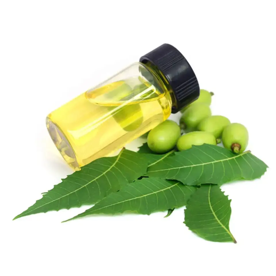 Unrefined Natural Plant Neem Oil - Image 3