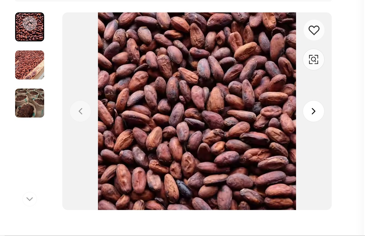 High Quality Ghana Unroasted Cocoa Beans