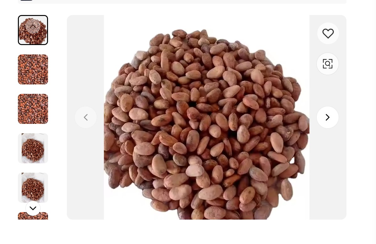 High Quality Ghana Unroasted Cocoa Beans  thumbnail 2