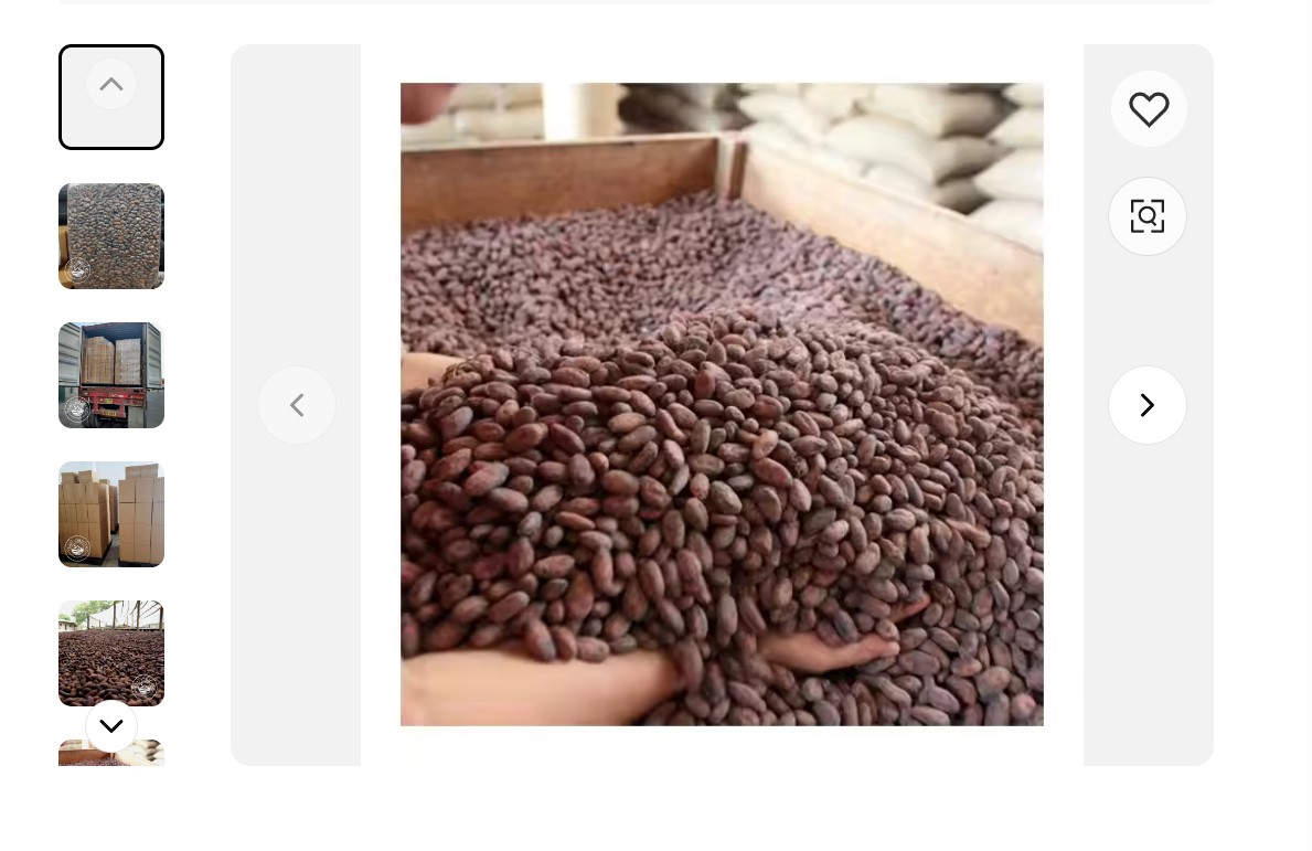 High Quality Ghana Unroasted Cocoa Beans  thumbnail 3