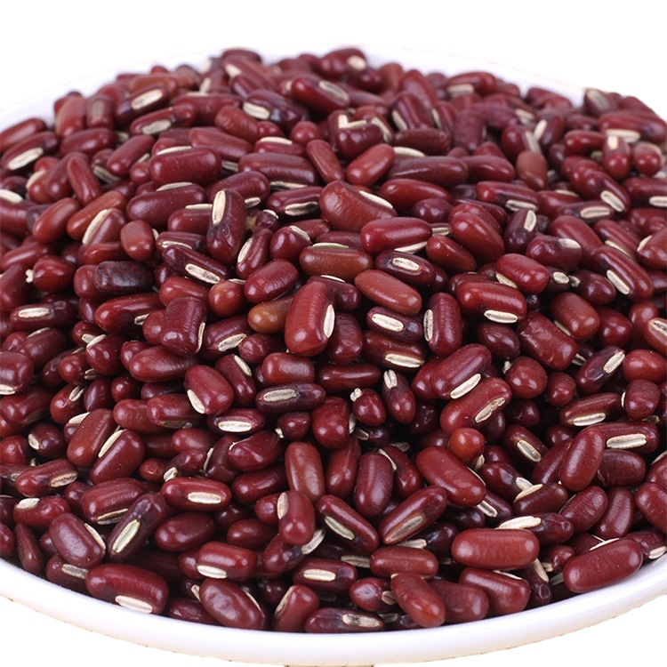 Red Bamboo Beans