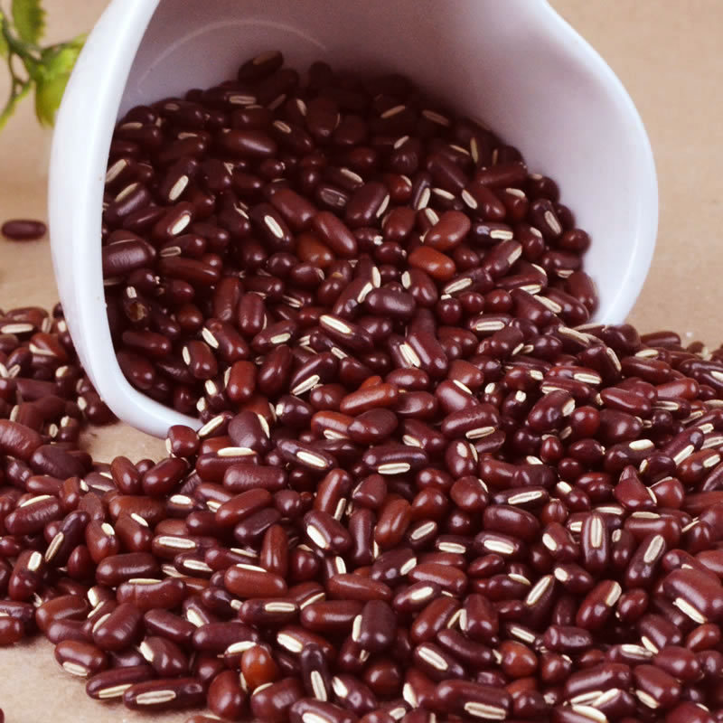 Red Bamboo Beans thumbnail 2