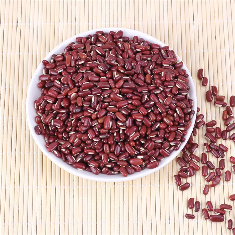 Red Bamboo Beans thumbnail 3