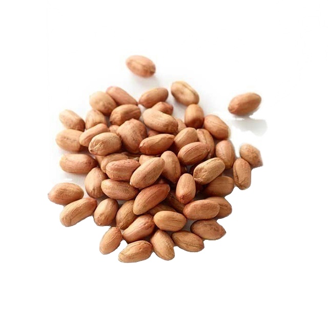 Premium Roasted Blanched Dried Red Skin Peanuts  - Image 3