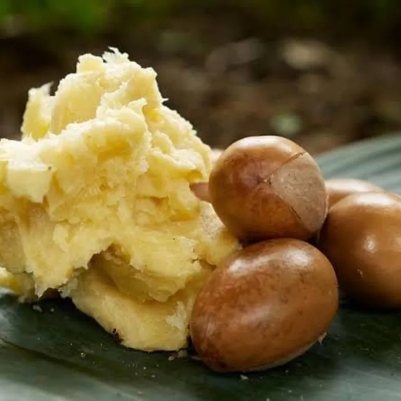 African Shea Butter - Image 2