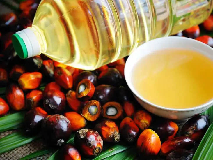 Prue Organic Natural Red Oil - Image 2