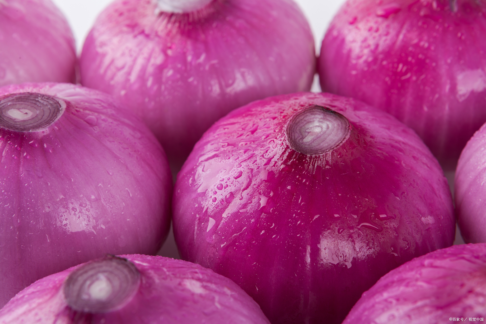  Fresh Red Onion - Image 3
