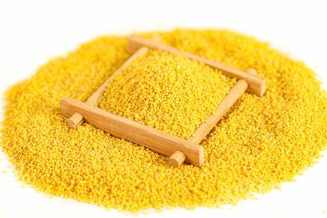 Yellow Millet  - Image 3