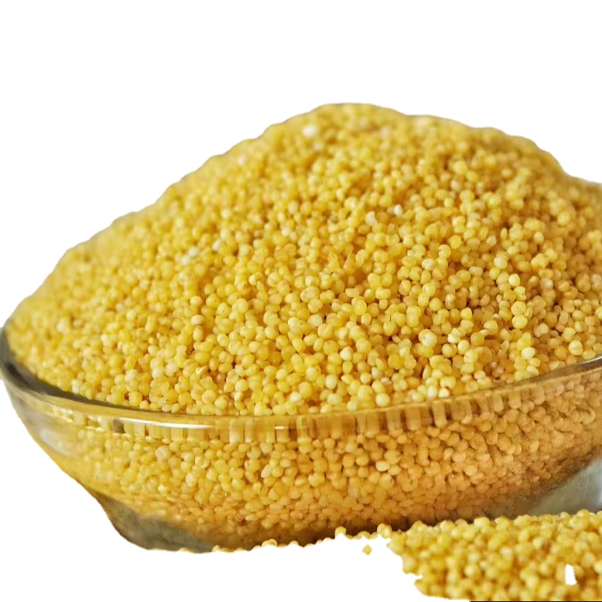 Yellow Millet  - Image 4