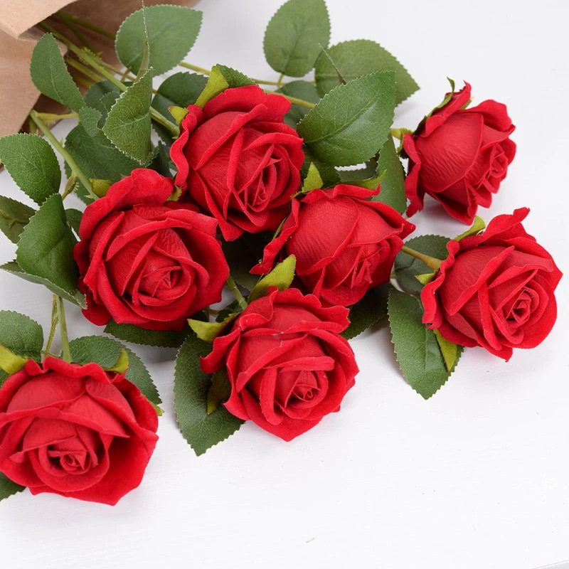 Natural Fresh Rose Preserved Flower - Image 3