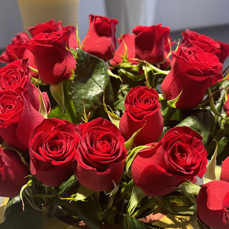 Natural Fresh Rose Preserved Flower - Image 4