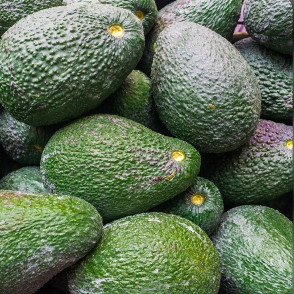 Premium Avocado-Sweet Taste - Image 2
