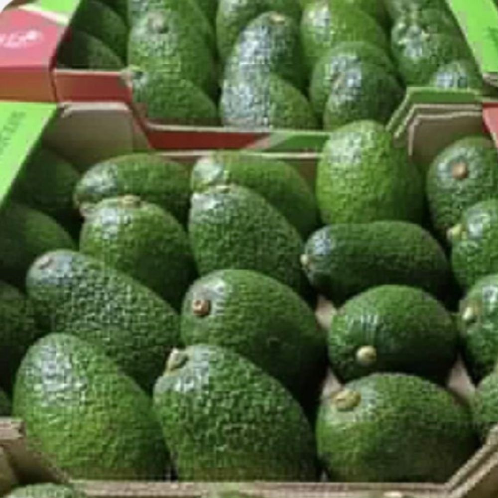 Premium Avocado-Sweet Taste - Image 4