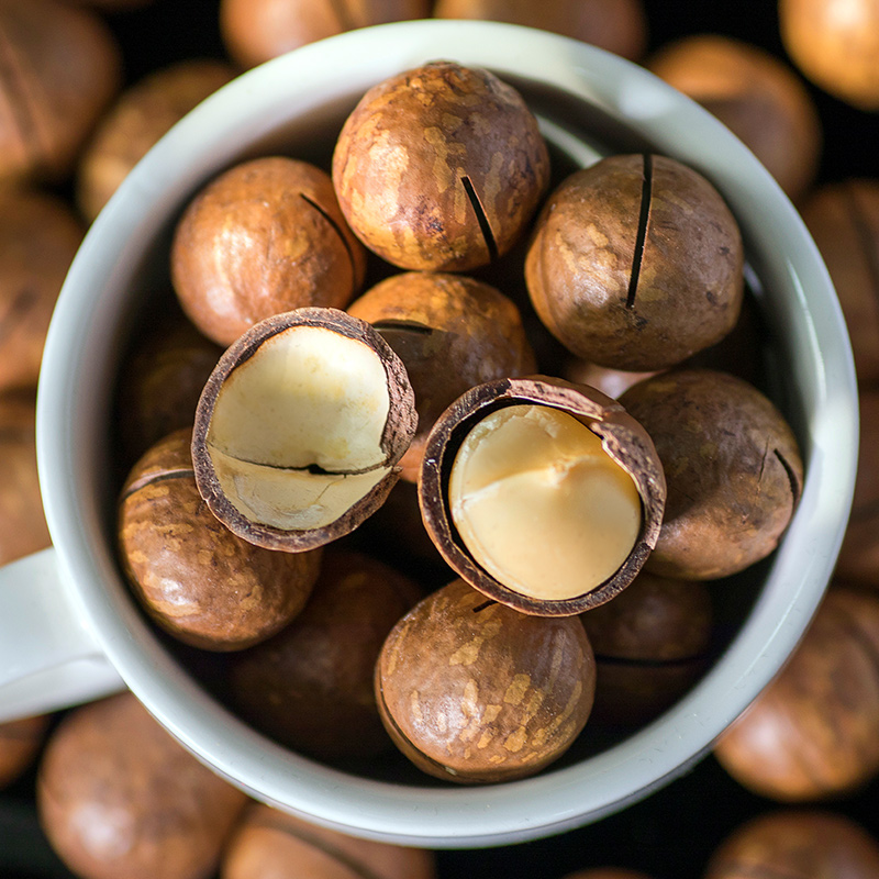 Roasted Macadamia Nuts With Shell - Image 2