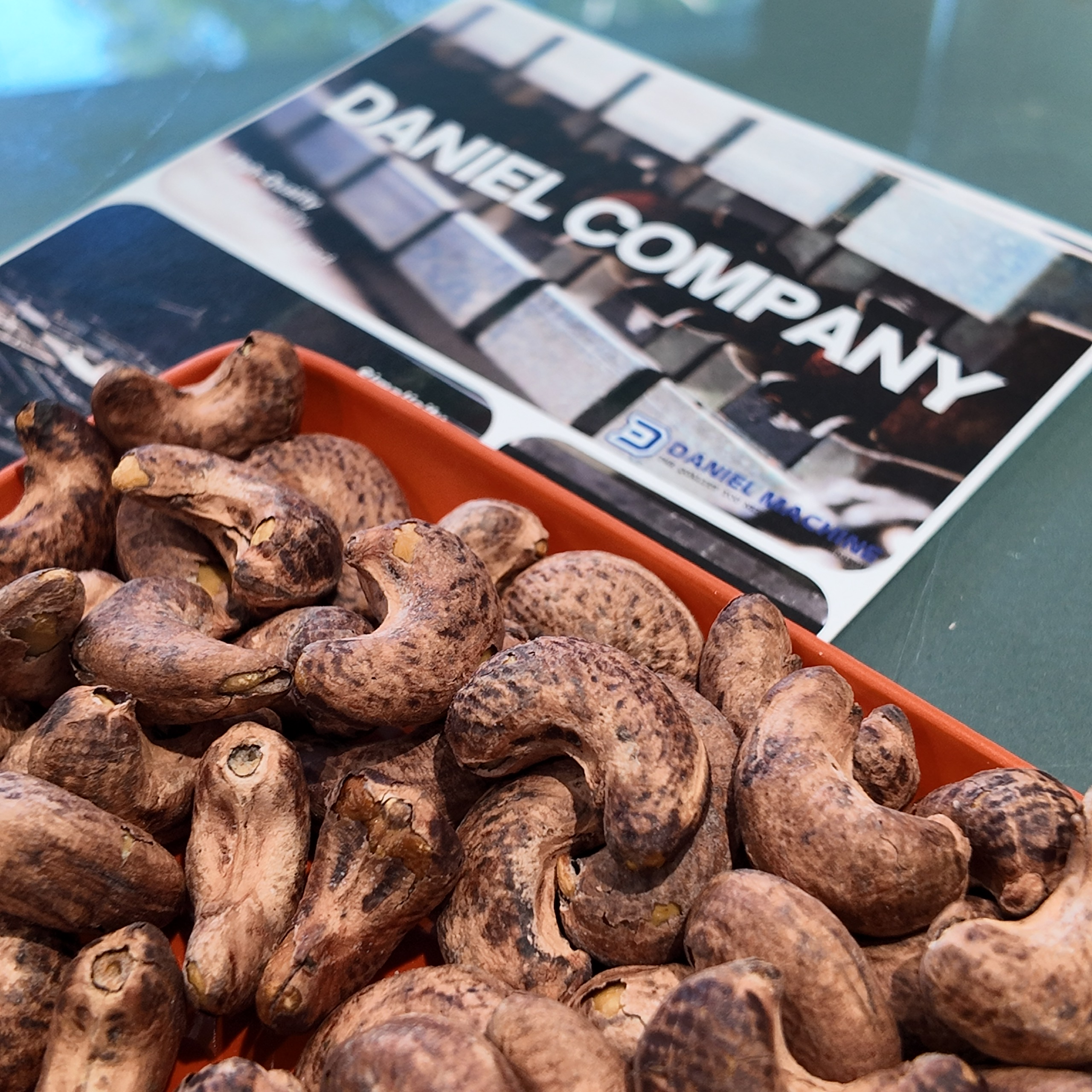  Africa Cashew Nuts - Image 2