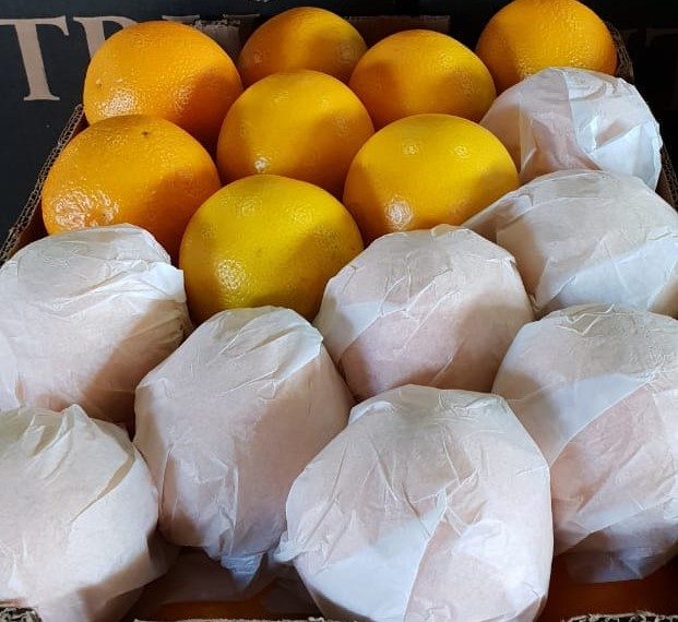 HIGH QUALITY SWEET VALENCIA ORANGES - Image 3