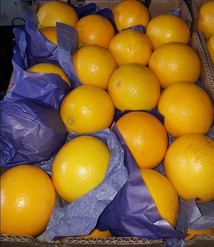 HIGH QUALITY SWEET VALENCIA ORANGES - Image 4