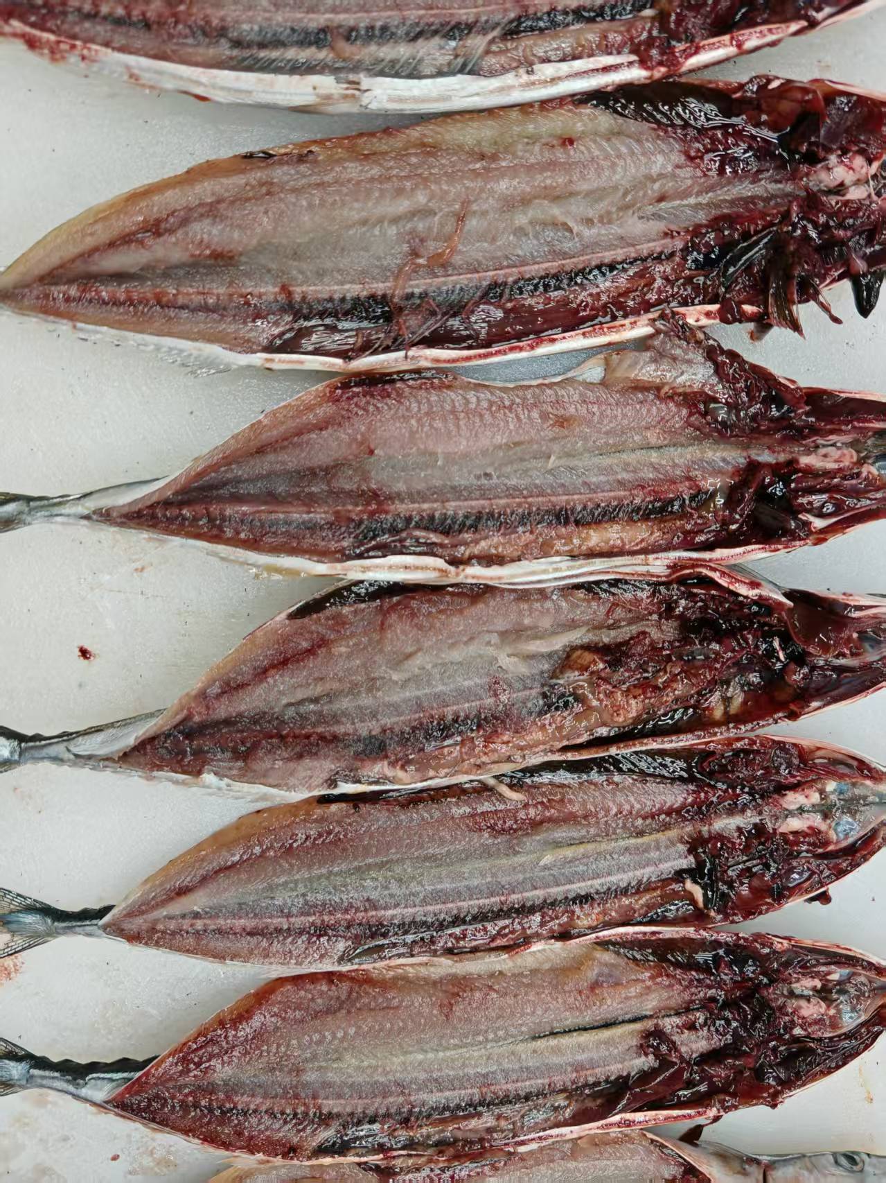  Frozen Pacific Saury Fish  - Image 2